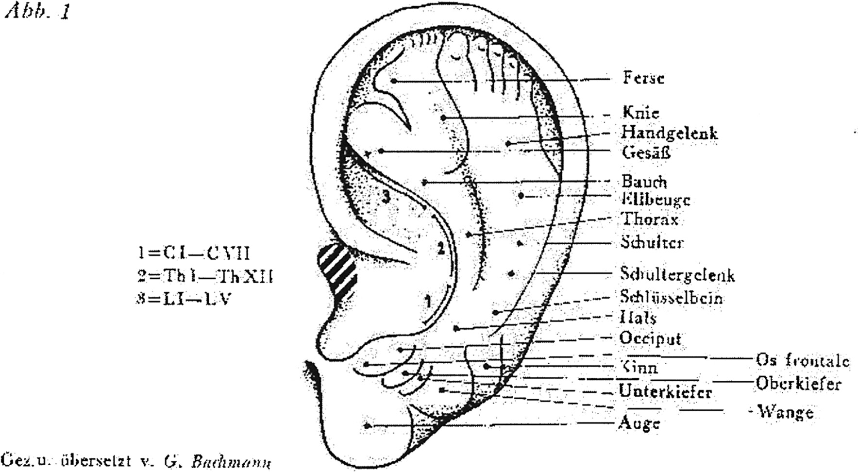 Fetuskaart van het oor volgens Paul Nogier